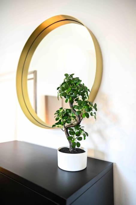 Apartamento Moderne In Ruhiger Umgebung Nahe Messe Berlim